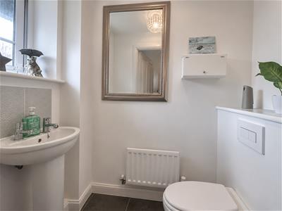 Picture 17